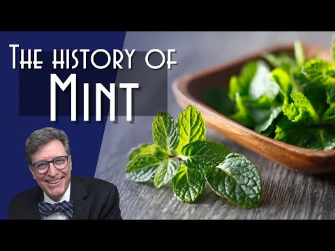 Cool: A History of Mint