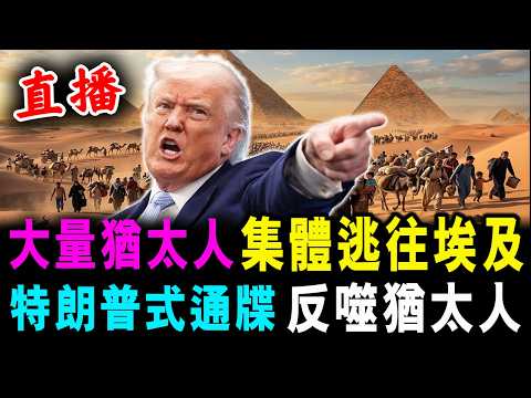 直播 大量猶太人 集體逃往埃及 ! 特朗普式通牒 反噬猶太人 ! / 新潮民 @SCM1.0