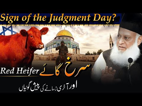 Surkh Gaaye Aur Dajjal Ka Raaz | Yahudiyon Ki Chhupi Sazish | Red Cow Prophecy | Dr Israr Ahmed
