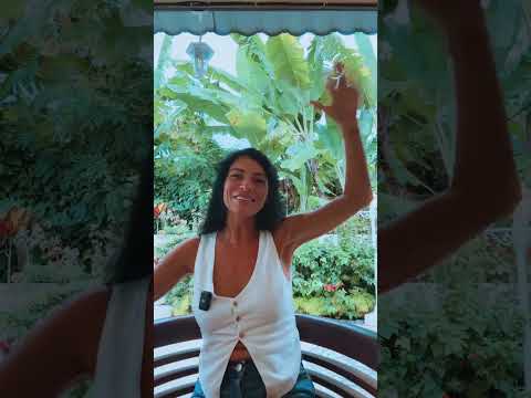 Перестань сидеть на диетах.Сбросить вес ЛЕГКО Без спорта и диет