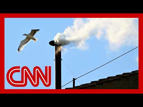 White smoke: Cardinals have chosen the next pope