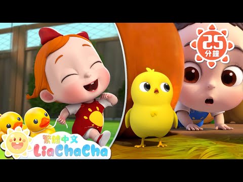 一起找小雞 +更多 | The Finger Family | 小動物兒歌 | 數字歌 | 經典兒歌 | 數字歌 | 依娜和恰恰 | LiaChaCha 繁體中文 - 兒歌童謠