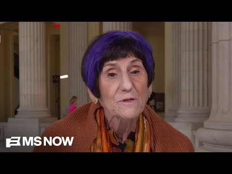 House Democrat says party committed to ending war despite rejected war powers resolution