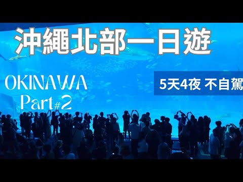 #Okinawa Northern Day Trip#Mount Manza#Kouri Island#Chuuri Aquarium 2025.11.10
