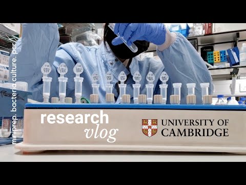 cambridge research vlog | day in the life of a research scientist at cambridge university