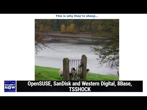When Heuristics Backfire - OpenSUSE, SanDisk and Western Digital, 8Base, TSSHOCK