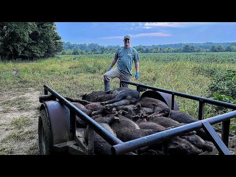 It’s my Birthday!! And I finished up 2 wild hog jobs in 1 night.