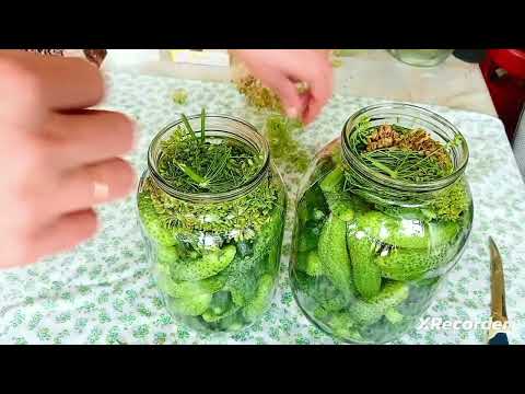 Бочковые огурцы. Самый быстрый, легкий, а главное вкусный рецепт.