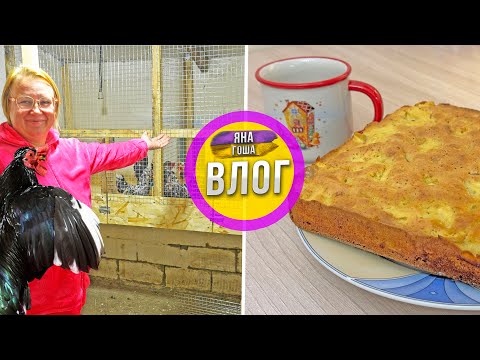 We are moving the chickens to a new coop! My husband made a charlotte and what came out of it! Wh...