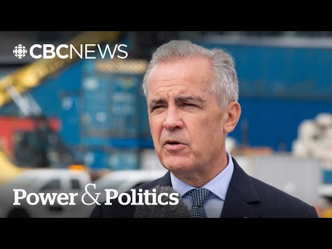 What does 'austerity' mean in a Carney Liberal budget? | Power & Politics