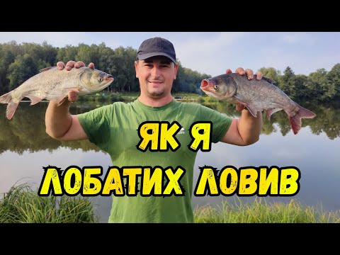 FISHING ON A GREAT LAKE / WE WENT FOR CARP, CAUGHT A LARGE BASS