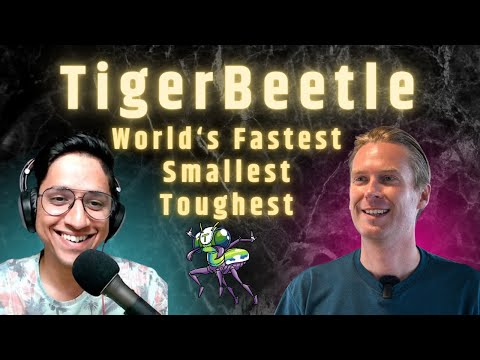 TigerBeetle: World’s Fastest Financial Transactions Database