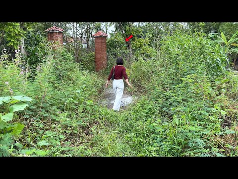 The female pharmacist turned a $16,000 abandoned house into an unexpected profit