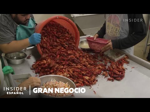 Una empresa de cangrejos de Luisiana cosecha 27.000 kilos al día | Gran Negocio | Insider Business