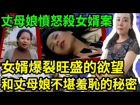 解密檔案——女婿案！龍年大吉~