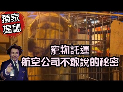 瘋狂機長 詹姆士｜史上最重要一集‼️有毛小孩的人務必要看