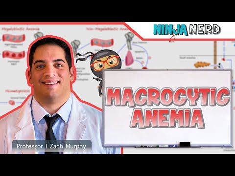 Macrocytic Anemia | Clinical Medicine