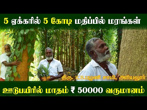 5 ஏக்கரில் 5 கோடி மதிப்பில் மரங்கள் | ஊடுபயிரில் மாதம் 50000 வருமானம்