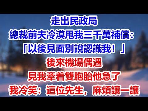 走出民政局，總裁前夫冷漠甩我三千萬補償：「以後見面別說認識我！」後來機場偶遇，見我牽着雙胞胎他急了，我冷笑：「這位先生，麻煩讓一讓」#為人處世#生活經驗#情感故事#故事#小說#戀愛#情感#婚姻
