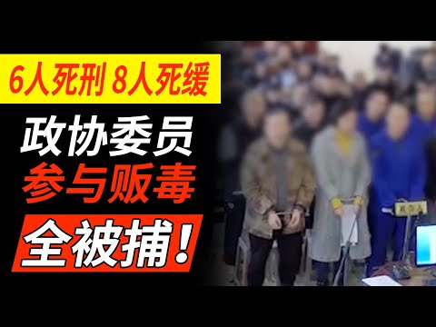 深山制毒 幕后毒枭旁听庭审现场！背后究竟是谁为其撑腰？【缉毒案合集】