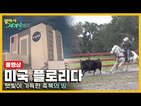 [걸어서세계속으로Full📺] 미래의 모습과 과거의 추억들이 현실이 된 곳 '미국 플로리다' 여행 Trip to United States of America KBS 20210306