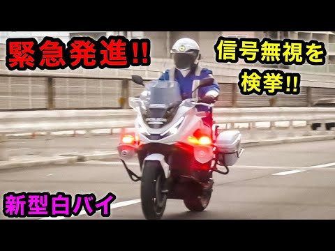【白バイの緊急発進‼️】信号無視を捕まえる瞬間 ２連発‼️　[サイレン]