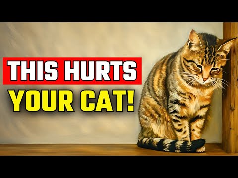 7 Things You Do Everyday That EMOTIONALLY HURT Your Cat