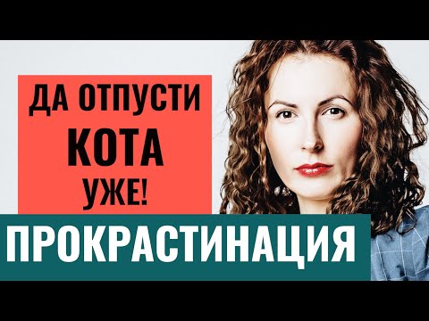 ПРОКРАСТИНАЦИЯ. Как бороться с прокрастинацией? Как перестать откладывать дела на потом?