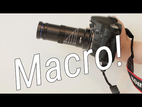 Insane Macro Photography! Venus Optics Laowa 25mm Macro Lens Review