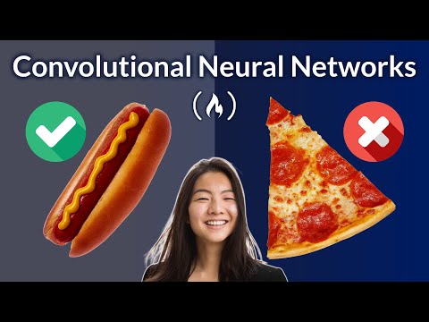 Hot Dog or Not Hot Dog – Convolutional Neural Network Course for Beginners
