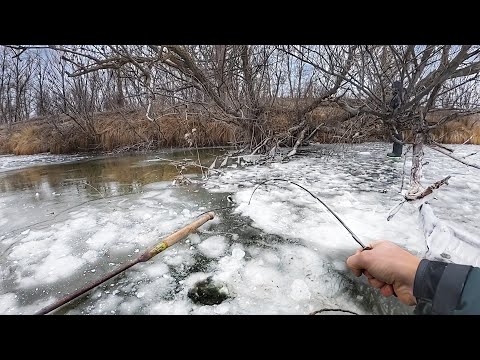 Astrakhan. First ice 2025-26. Winter fishing.