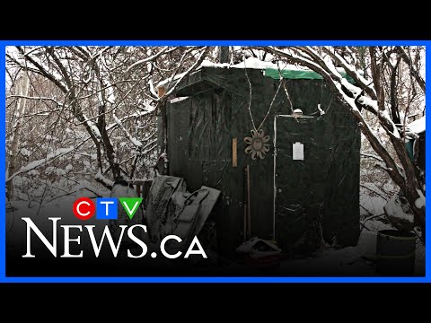 Guelph man living in a tiny home in the middle of the woods