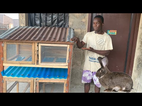 How to make rabbit cage at home using wood and iron net || easy rabbit cage making