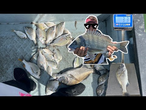 [流記釣魚#12] 約釣友出發釣立  夏天竟然有52CM大黑沙？ 立魚密密手  流浮山四匹仔十五匹 #fishing #香港釣魚 #艇釣 #釣魚 #流浮山 #hongkongfishing #黃腳立