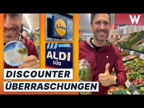 Food haul at Aldi and Lidl (doctor shopping)