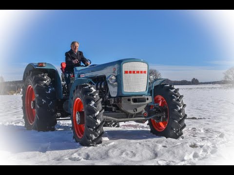 Eicherfreunde Forstern Wotan Restaurierung