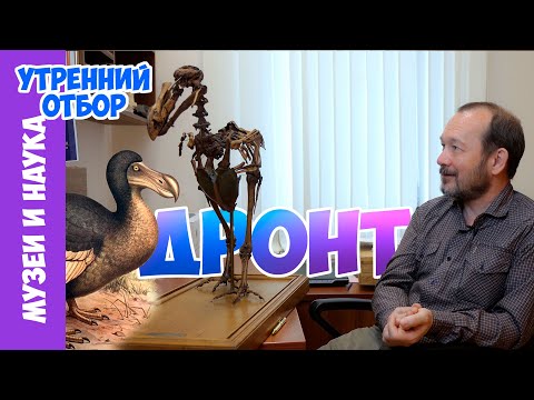ДРОНТ - начало отсчета вымирающих видов. Игорь Фадеев.