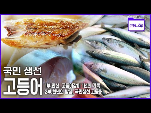 [모음zip🔴고등어] 우리나라 최고 어획량 국민 생선 고등어! 왕의 음식에서 국민생선으로!! 고등어잡이 과정과 다양한 고등어 요리까지! | KBS 2014년 방송