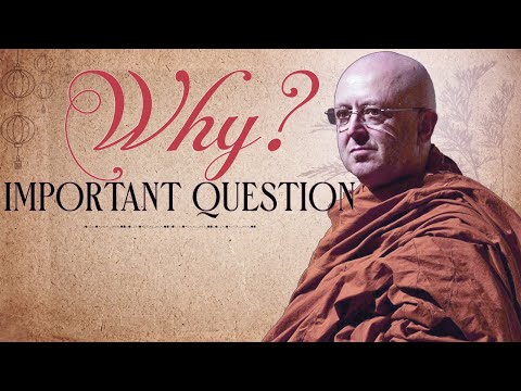 WHY? A very special question | Ajahn Brahm