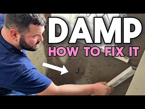 PENETRATING DAMP how to fix it.