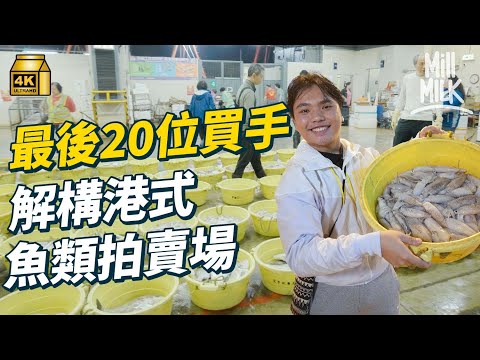 #MM｜解構最後一個港式魚類拍賣場 牙朗體驗凌晨2點競投爭貴價魚！僅存魚類買手由凌晨2點開工到朝早6點 收入由一萬多起！當日$260/斤投得鷹䱽 最貴投過$1,200/斤野生黃花魚！｜#試一次 #4K