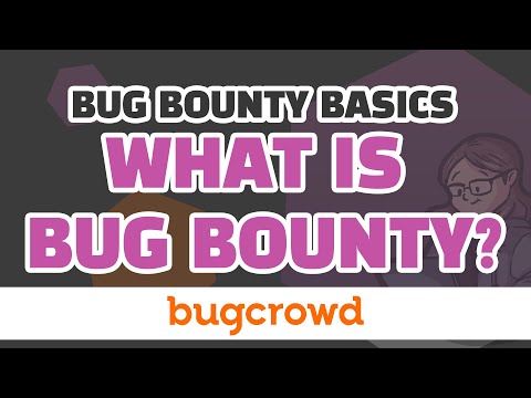 How does Bug Bounty work anyway?