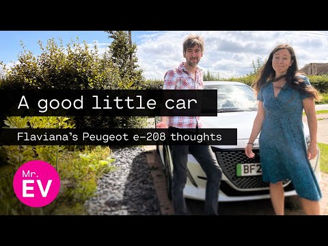 Flaviana's thoughts on the Peugeot e-208 (and much more besides)