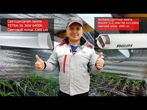 The most affordable lamps for growing strong, stocky seedlings!