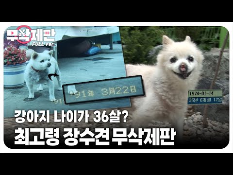 (무삭제판) 36살 최고령 개, 장수의 비밀은??┃(Uncut Ver.) A 36-Year-Old God, The Secret To Its Longevity Is...??