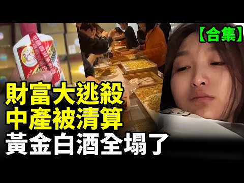 【合集】財富神話大崩塌；黃金、白酒、房子全塌了！中國家庭負債危機全面引爆 #看大陸