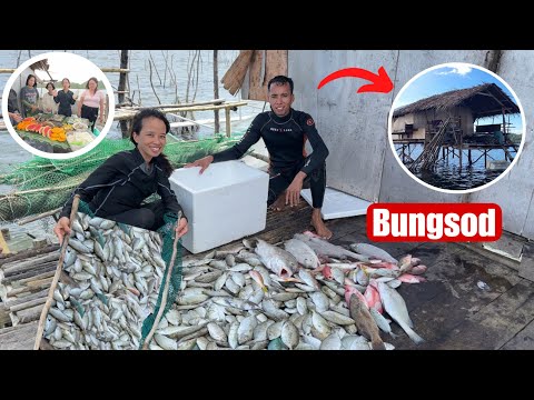 Balik Buhay Bungsod Ang Daming Isda Agad