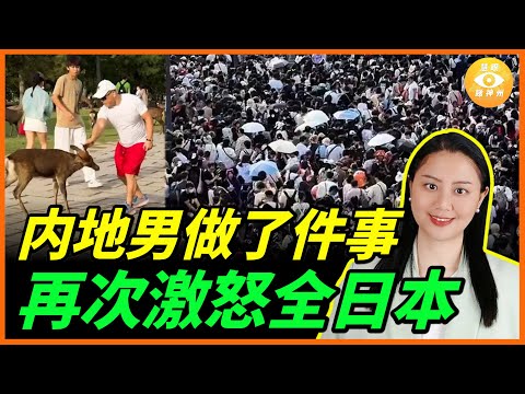 一邊喊打喊殺，一邊衝去日本旅遊。内地男做了件事，再次激怒全日本……