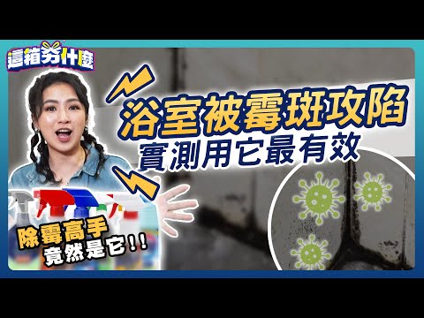 年底大掃除，浴室除霉不必刷就白亮！ 知名清潔劑大評比  這兩款CＰ值超高【這箱夯什麼】EP1
