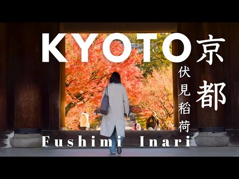 Kyoto Autumn Foliage Vlog｜Fushimi Inari & Nanzenji｜Japan Travel